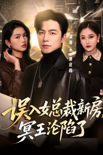 误入女总裁新房，冥王沦陷了