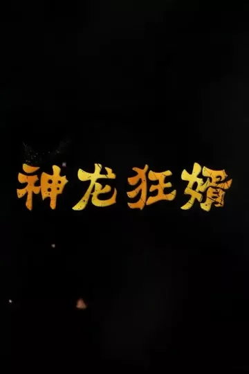 神龙狂婿合集版