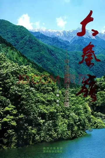 大秦岭
