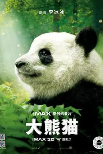 大熊猫