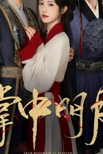 掌中明月
