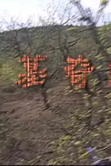 古墓奇缘2009