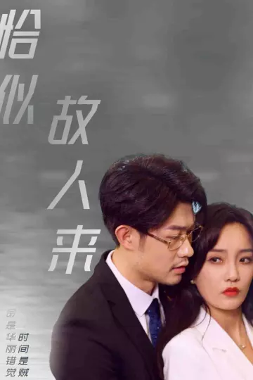 恰似故人来