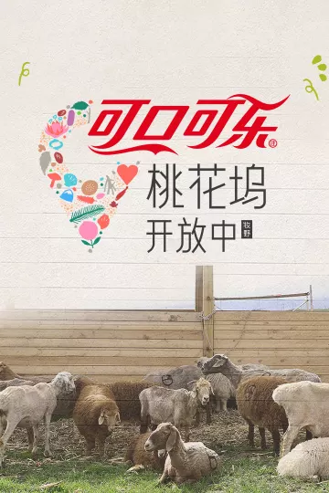 桃花坞开放中第四季