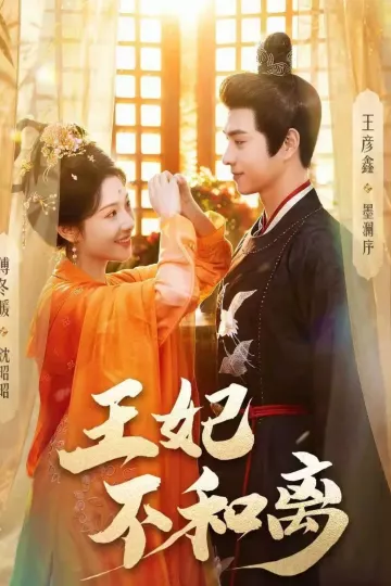 王妃不和离