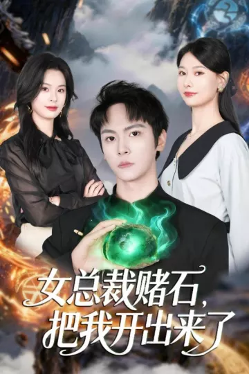 女总裁赌石，把我开出来了