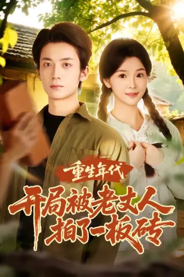 重生年代开局被老丈人拍了一板砖