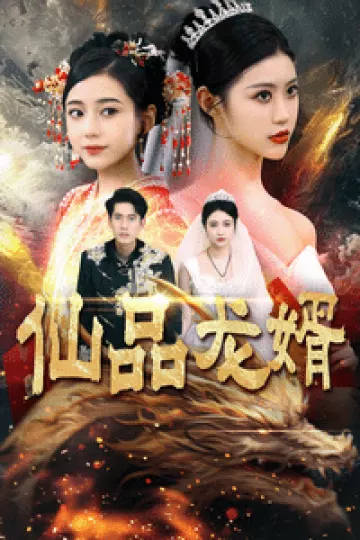 仙品龙婿