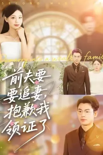 前夫要追妻,抱歉我领证了