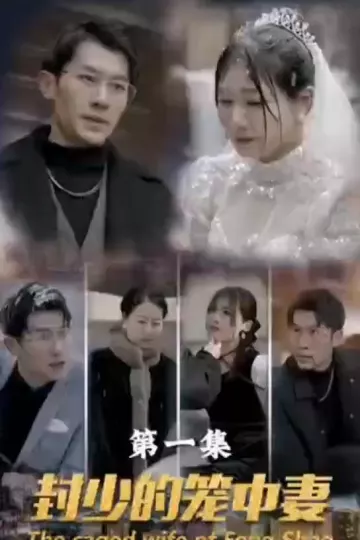 封少的笼中妻