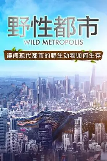 野性都市