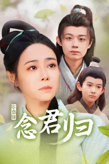 念君归