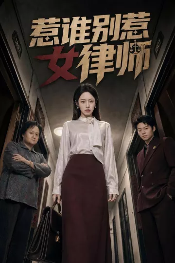 惹谁别惹女律师