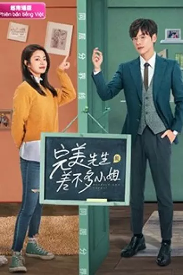 完美先生和差不多小姐越南语版