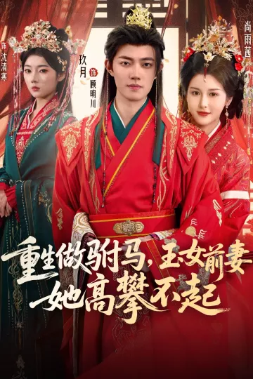重生做驸马，玉女前妻她高攀不起