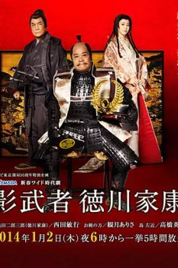 影武者德川家康