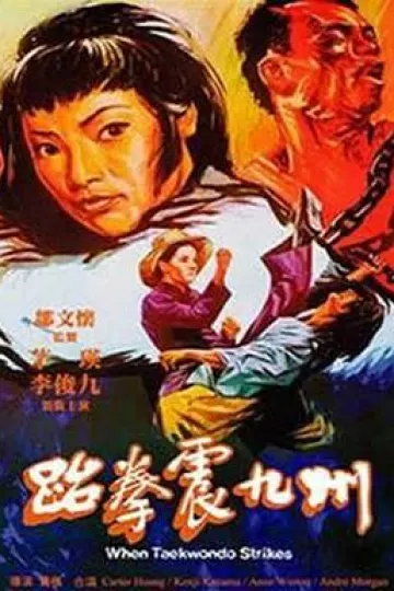 跆拳震九州[电影解说]