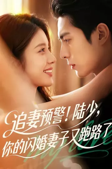 追妻预警!陆少,你的闪婚妻子又跑路了