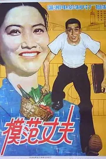 模范丈夫[电影解说]