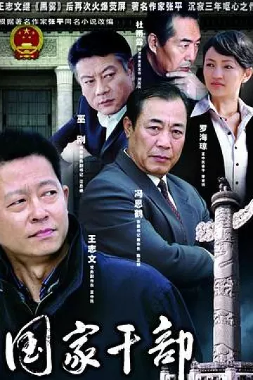 国家干部王志文版