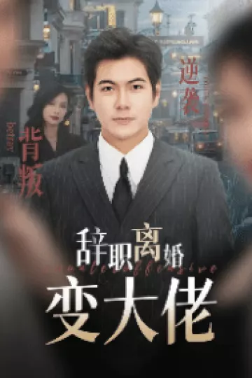 辞职离婚变大佬