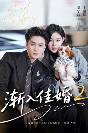 渐入佳婚2