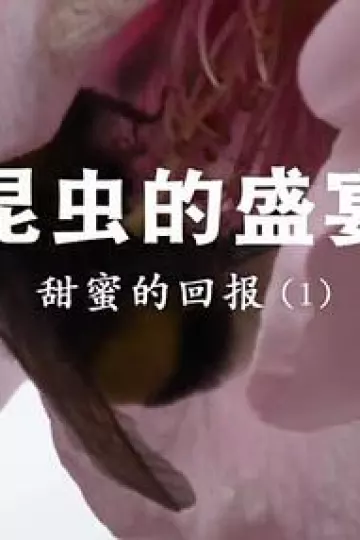 昆虫的盛宴粤语