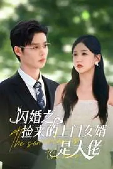 闪婚之捡来的上门女婿是大佬