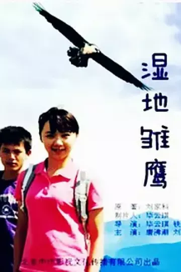 湿地雏鹰