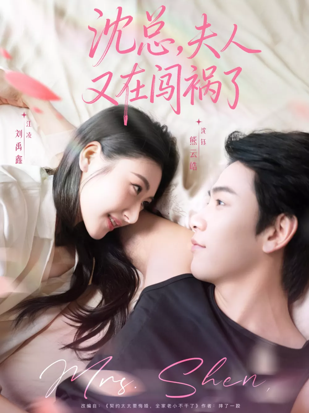 沈总,夫人又在闯祸了