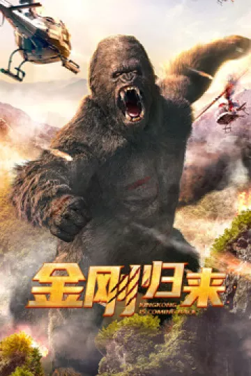 金刚归来2024
