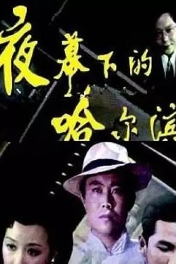 夜幕下的哈尔滨