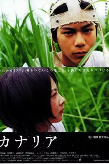 金丝雀2004