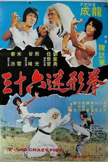 三十六迷形拳