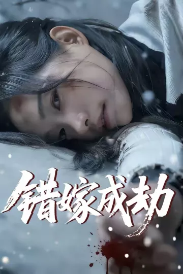 错嫁成劫