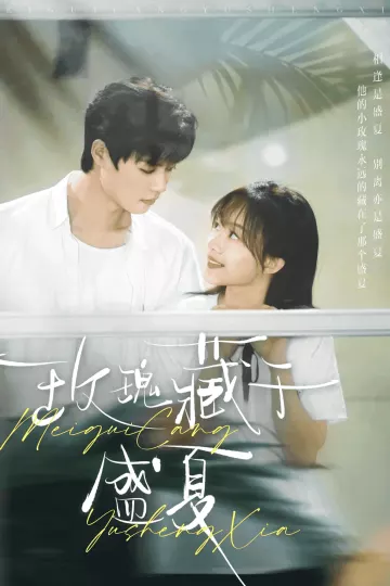 玫瑰藏于盛夏
