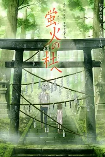 萤火之森[贤哥解说]