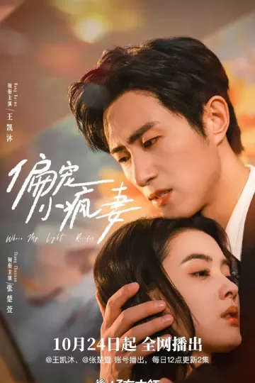 偏宠小疯妻