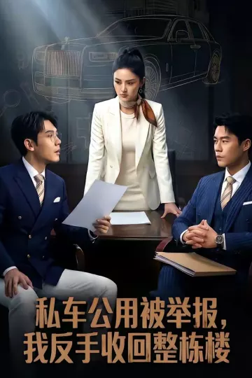 私车公用被举报，我反手收回整栋楼