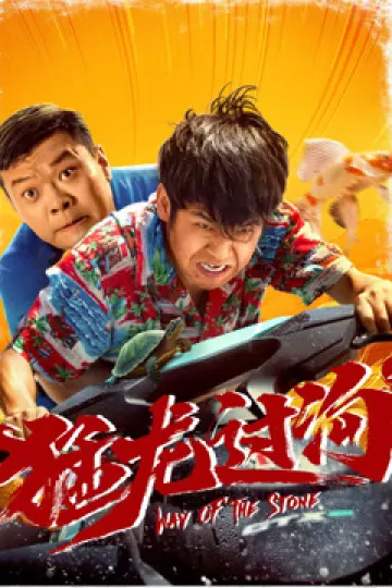 猛龙过沟2