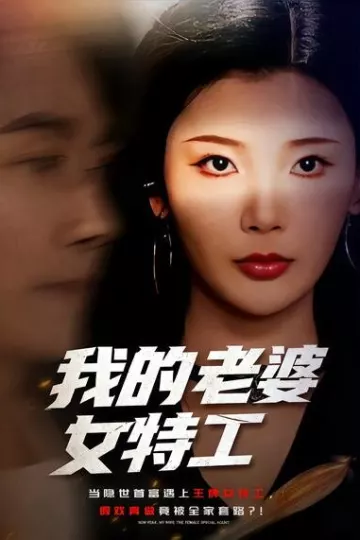 我的老婆女特工