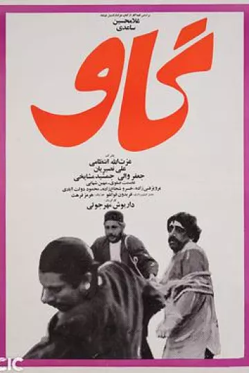 奶牛1969