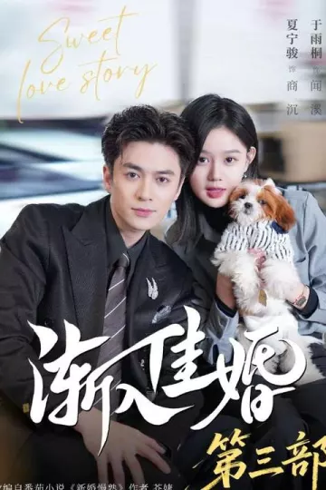 渐入佳婚3