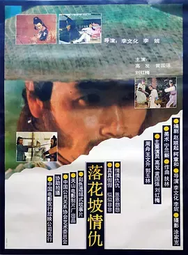 落花坡情仇[电影解说]