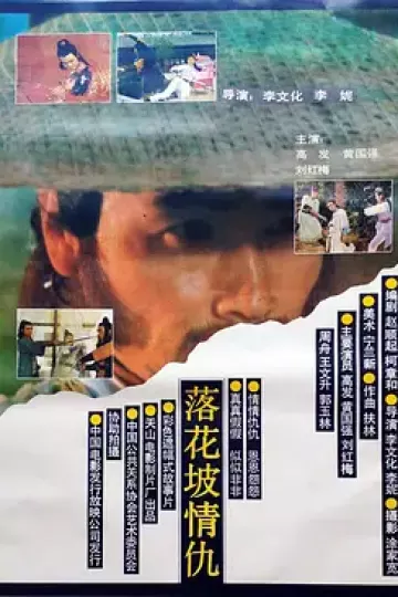 落花坡情仇[电影解说]