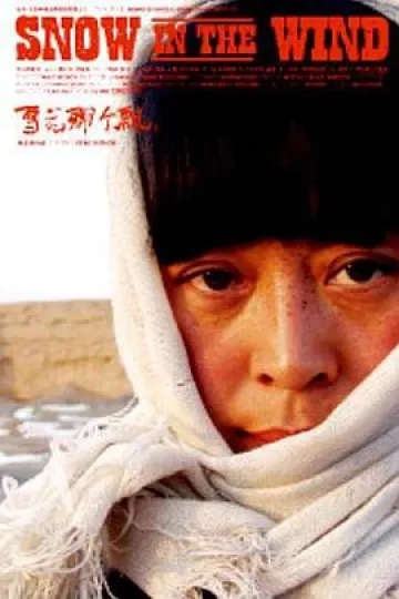 雪花那个飘2006[电影解说]