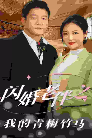 闪婚老伴之我的青梅竹马