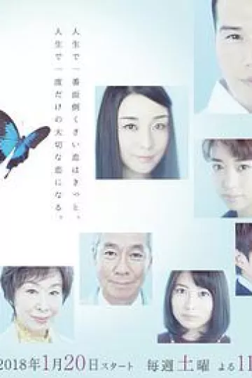 更喜欢明天的你 明日の君がもっと好き