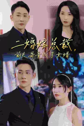 二婚嫁总裁前夫哥竟成了女婿