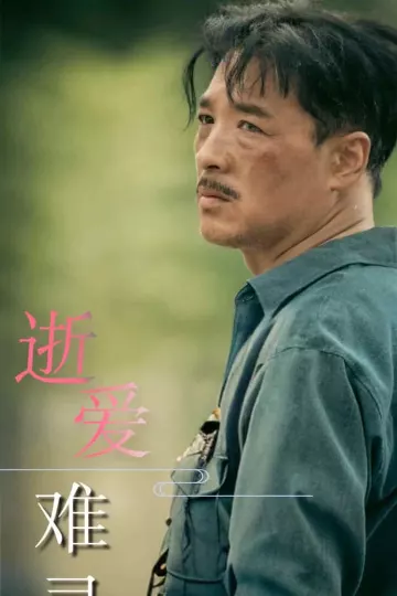 逝爱难寻